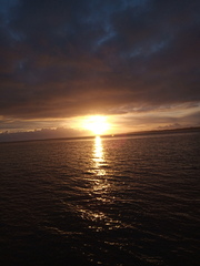 User post image