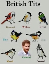 User post image