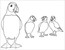 User post image
