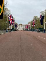 User post image