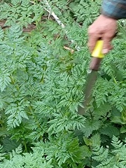 User post image