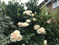 User post image