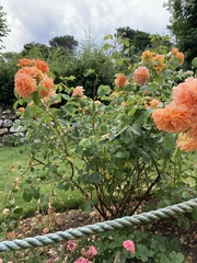 User post image