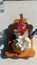 User post image