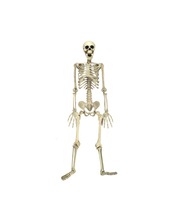User post image