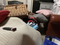User post image