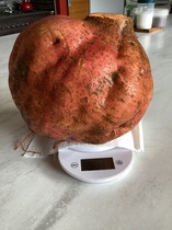 User post image