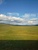User post image