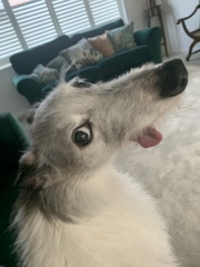 User post image