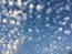 User post image