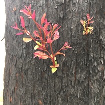 User post image