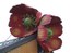 User post image
