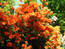 User post image