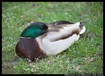 User post image