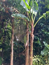 User post image