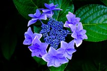 User post image
