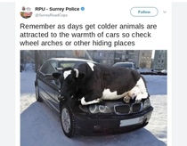 User post image