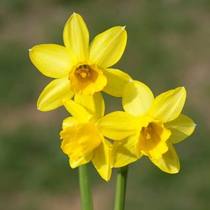 User post image