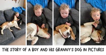User post image