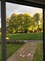 User post image