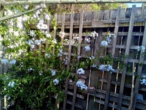 User post image