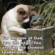 User post image