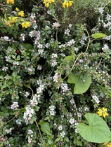 User post image