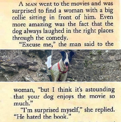 User post image
