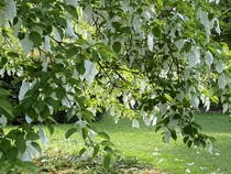 User post image