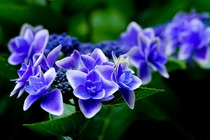 User post image