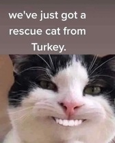 User post image