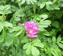 User post image