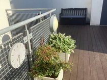 User post image