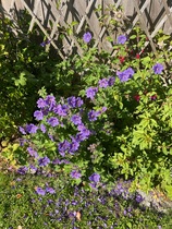 User post image