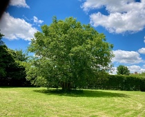 User post image