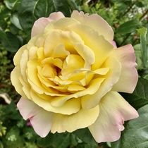 User post image