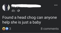 User post image