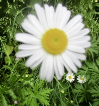 User post image
