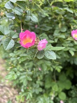 User post image