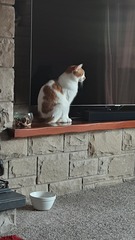 User post image