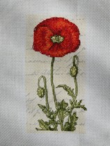 User post image