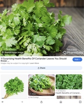 User post image