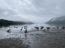 User post image