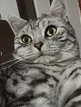 User post image
