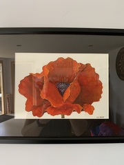 User post image
