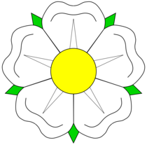 User post image