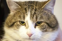 User post image