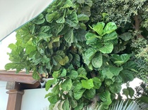 User post image