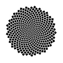 User post image