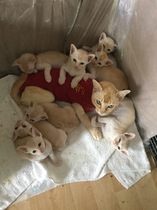 User post image
